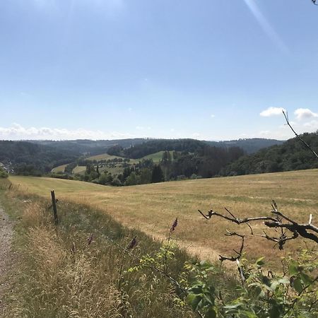 Вилла Gluehalm Willingen Виллинген Экстерьер фото