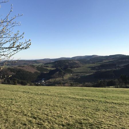 Вилла Gluehalm Willingen Виллинген Экстерьер фото