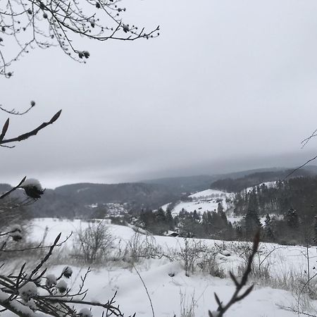 Вилла Gluehalm Willingen Виллинген Экстерьер фото