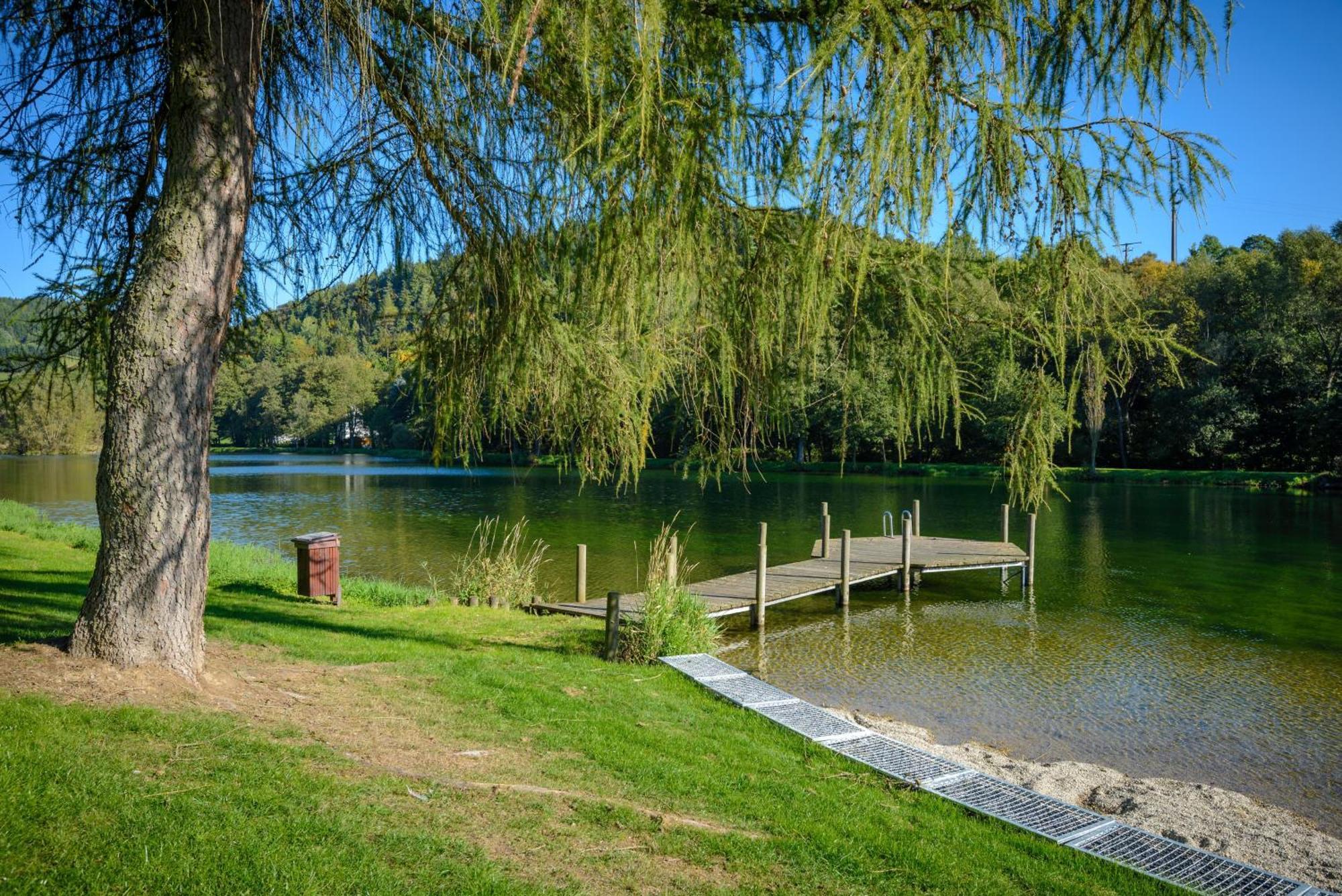 Вилла Gluehalm Willingen Виллинген Экстерьер фото