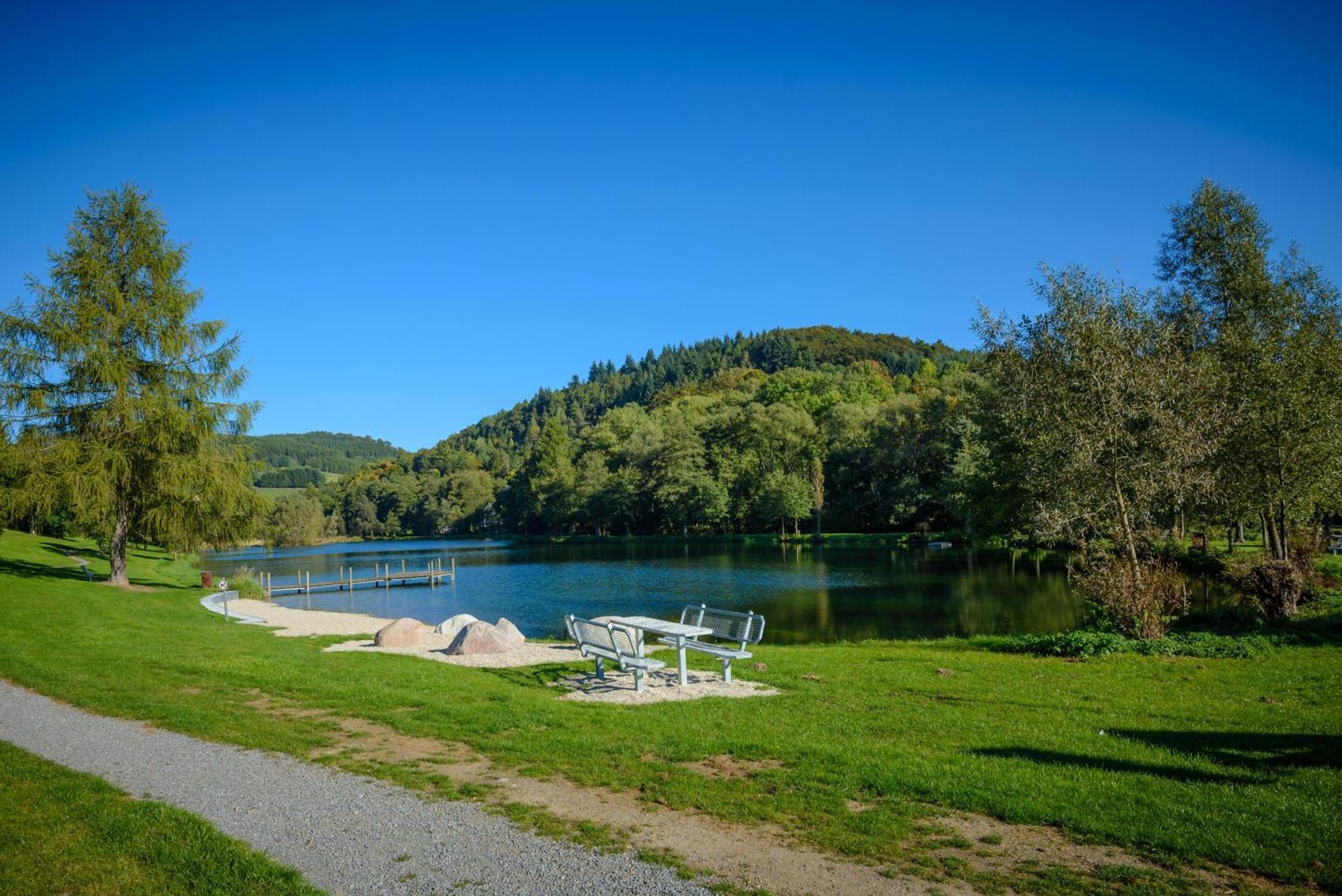 Вилла Gluehalm Willingen Виллинген Экстерьер фото