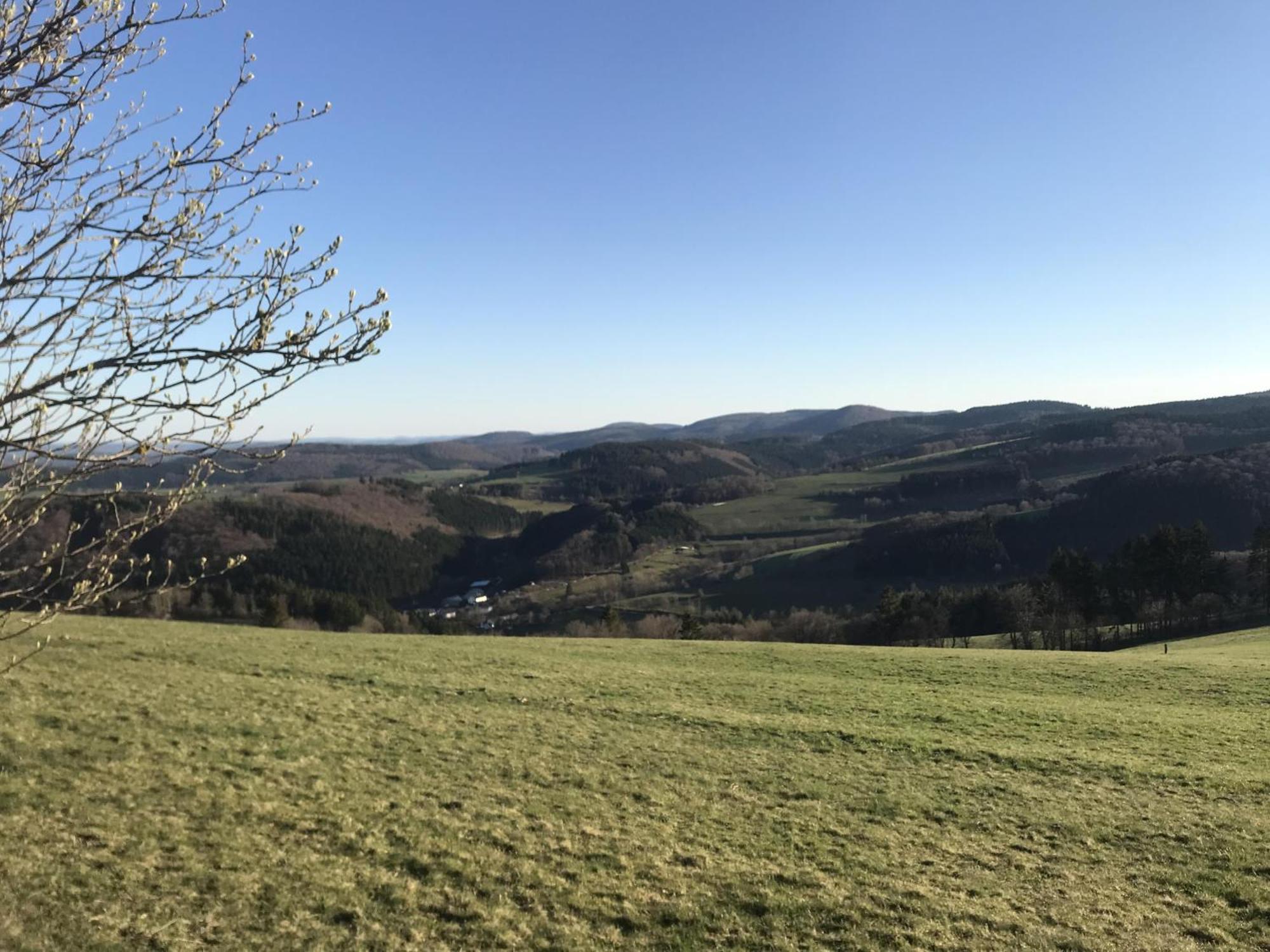 Вилла Gluehalm Willingen Виллинген Экстерьер фото