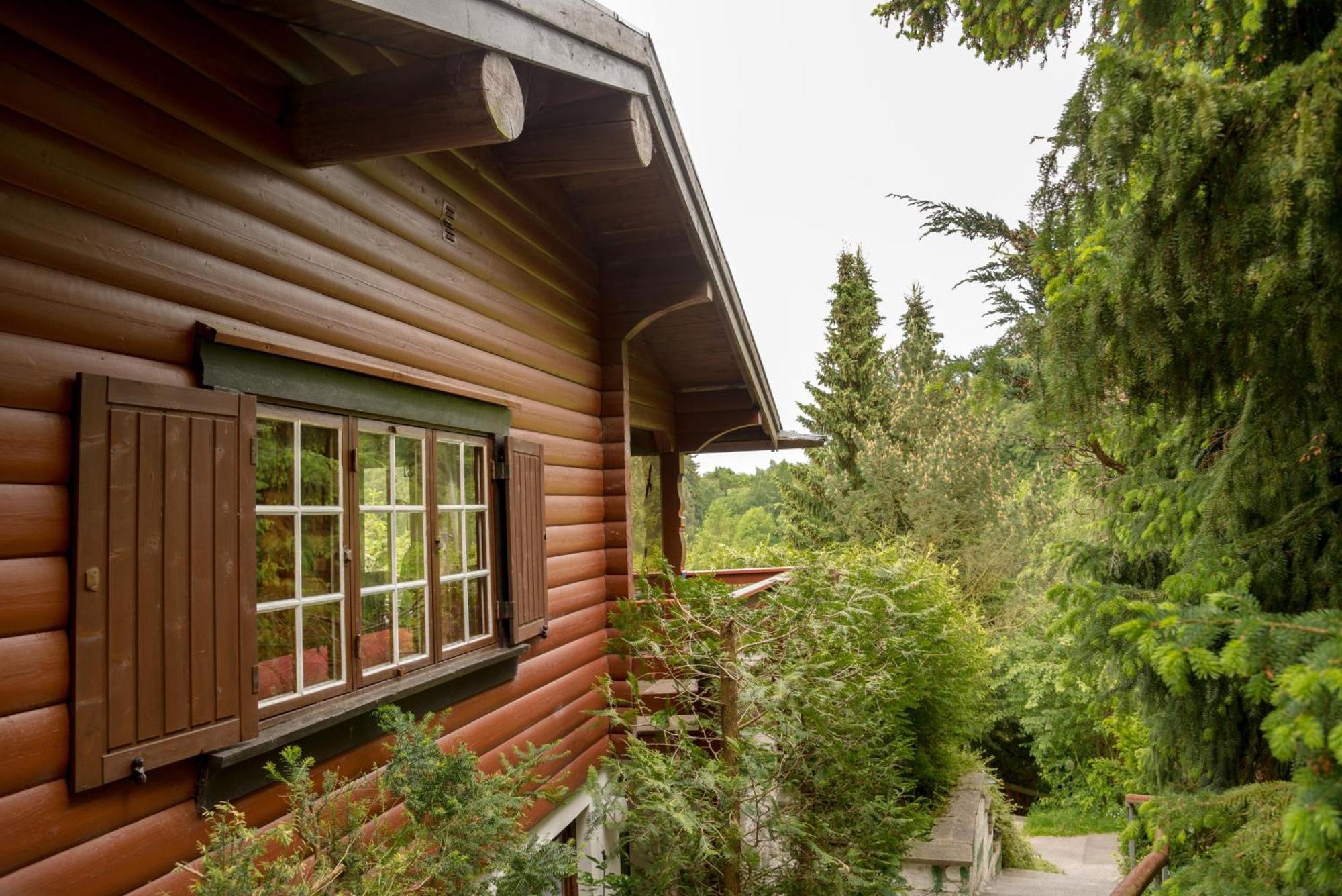 Вилла Gluehalm Willingen Виллинген Экстерьер фото