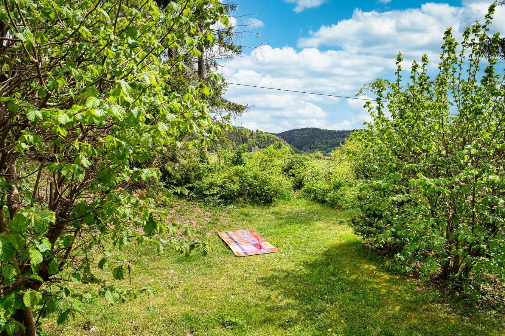Вилла Gluehalm Willingen Виллинген Экстерьер фото